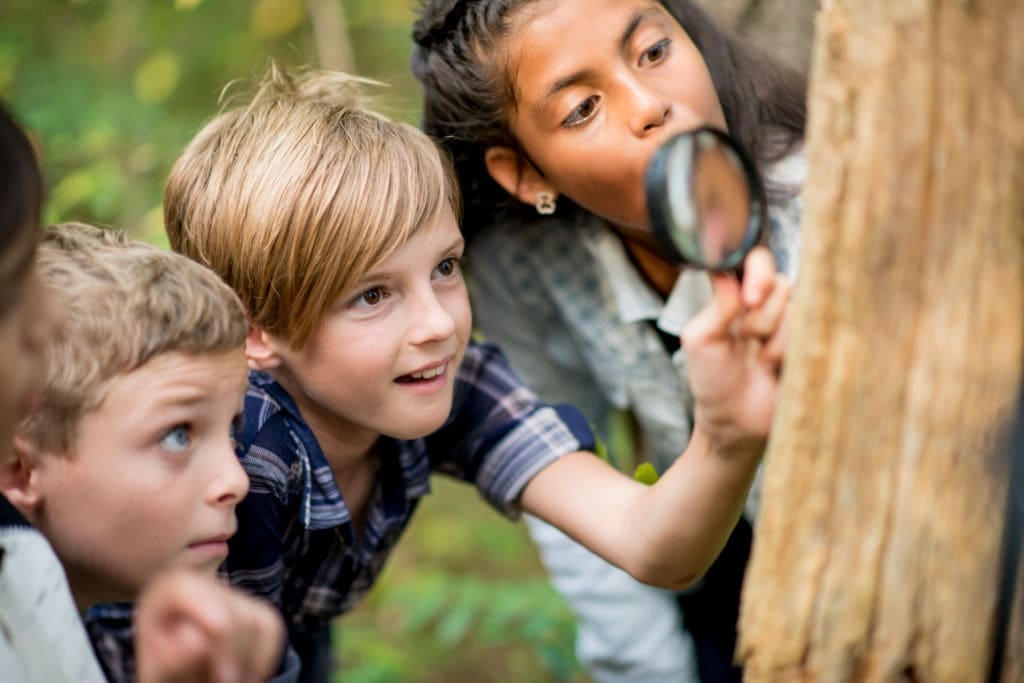 Attracting STEM Activities for Kids that Will Foster Curiosity