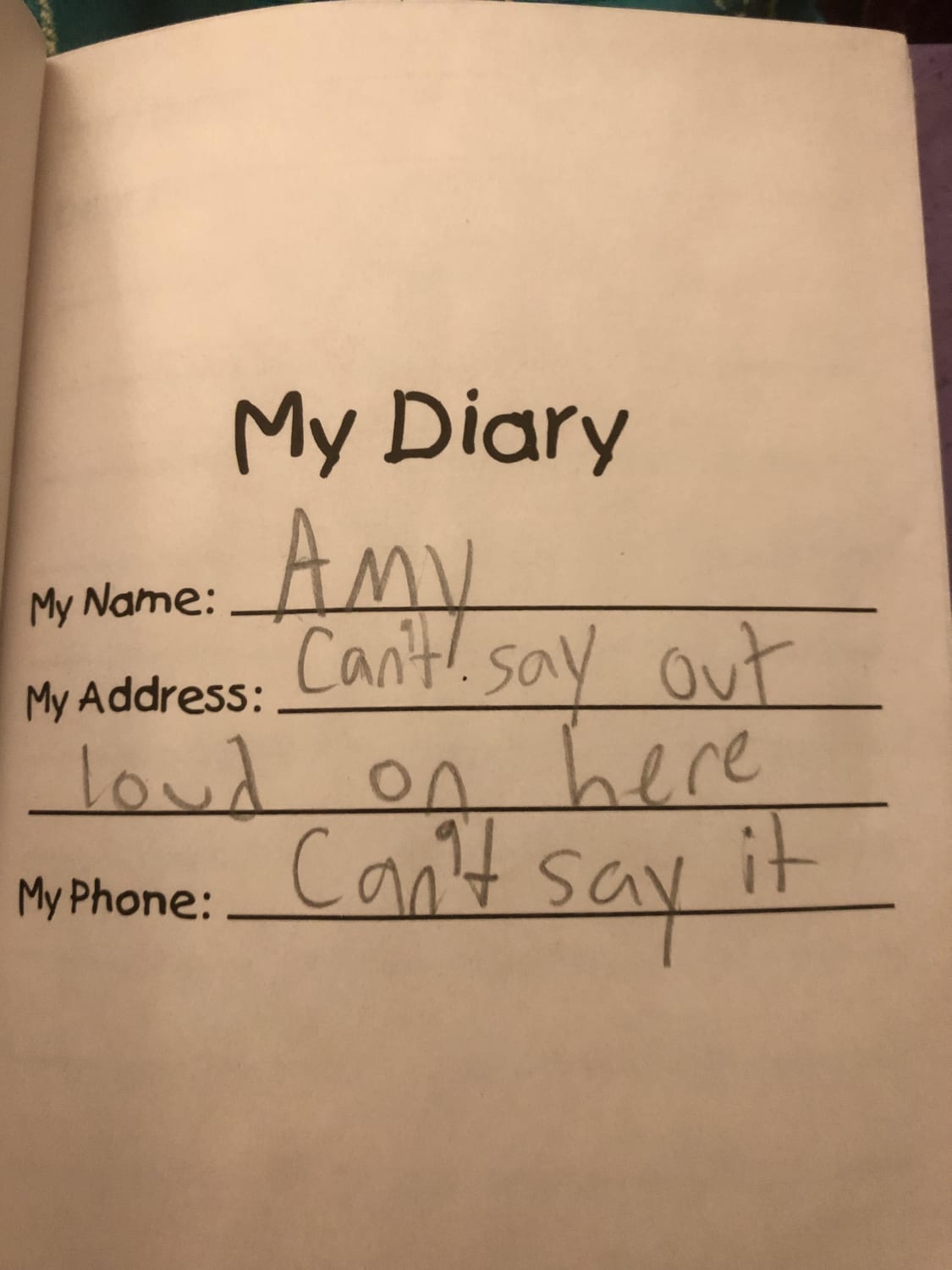 My diary as a little kid, apparently I took stranger danger VERY seriously…