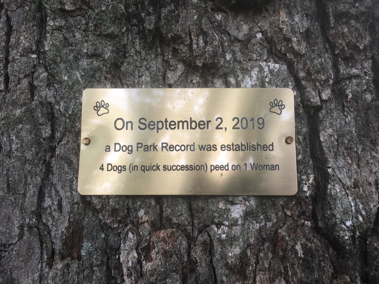 This plaque at the dog park commemorating a park record