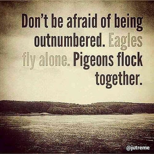"Don't be afraid of being outnumbered. Eagles fly alone. Pigeons flock together" #Quotes