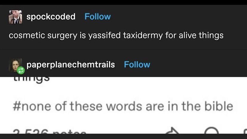 Cosmetic surgery is yassifed taxidermy for alive things