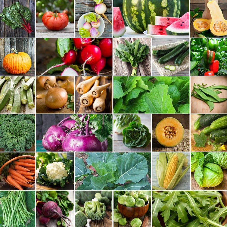 Best Quality And Reasonably Priced Vegetable Seeds