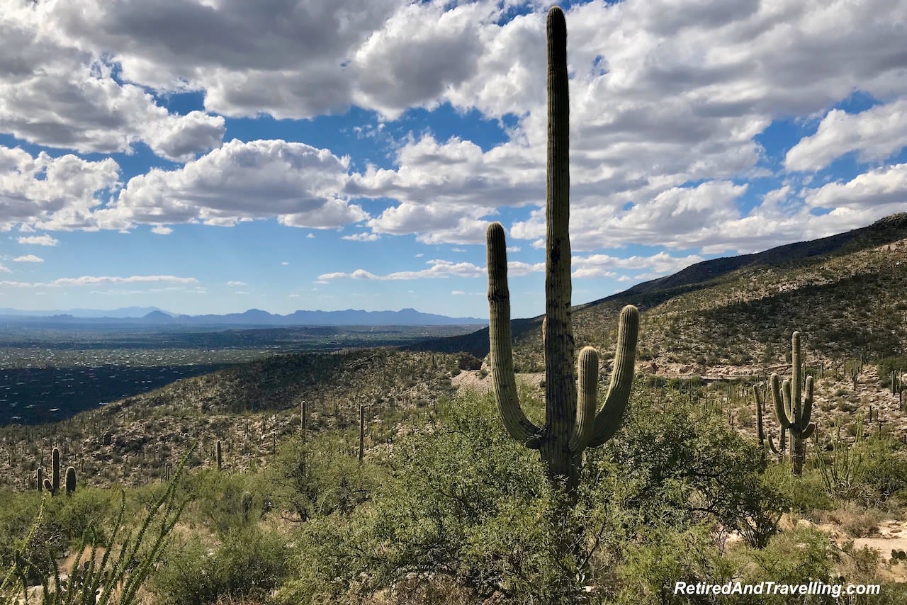7 Fall Things To Do In Tucson Arizona - Retired And Travelling