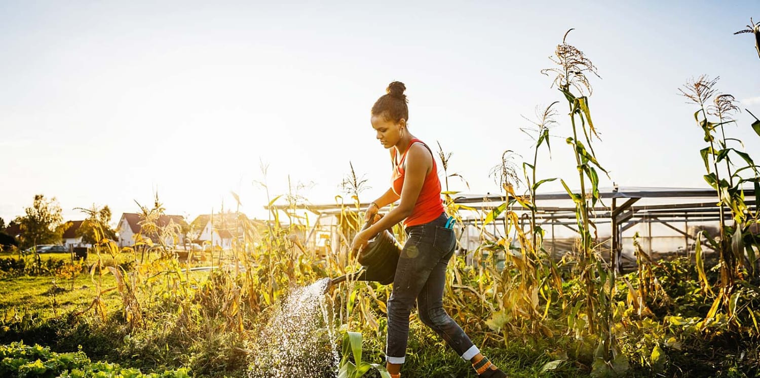 A New Study Says Gardening Is Just As Good As Going to the Gym