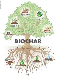 Biochar - biochar-international