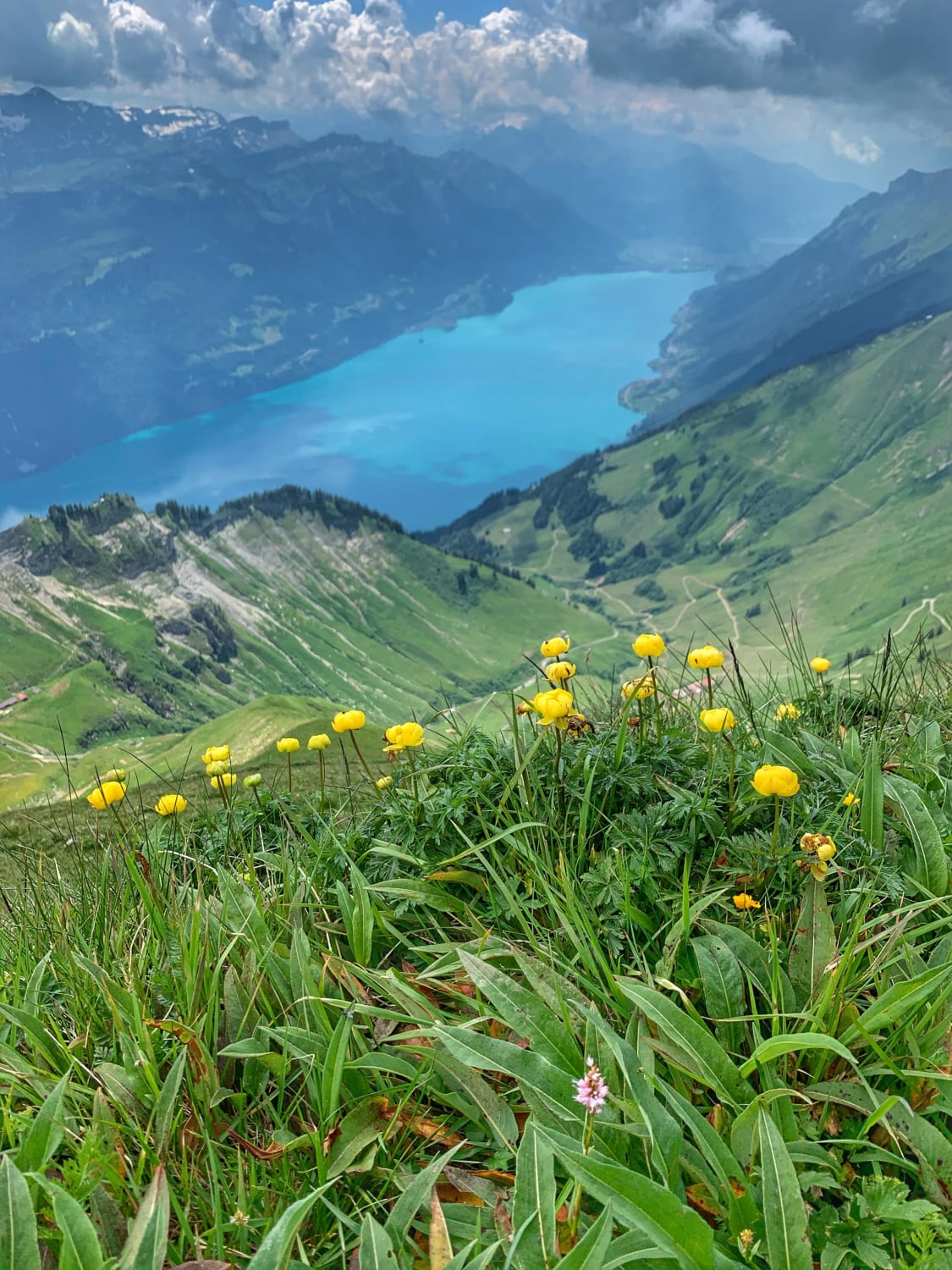 Hiking in the Swiss Alps above Lake Brienz