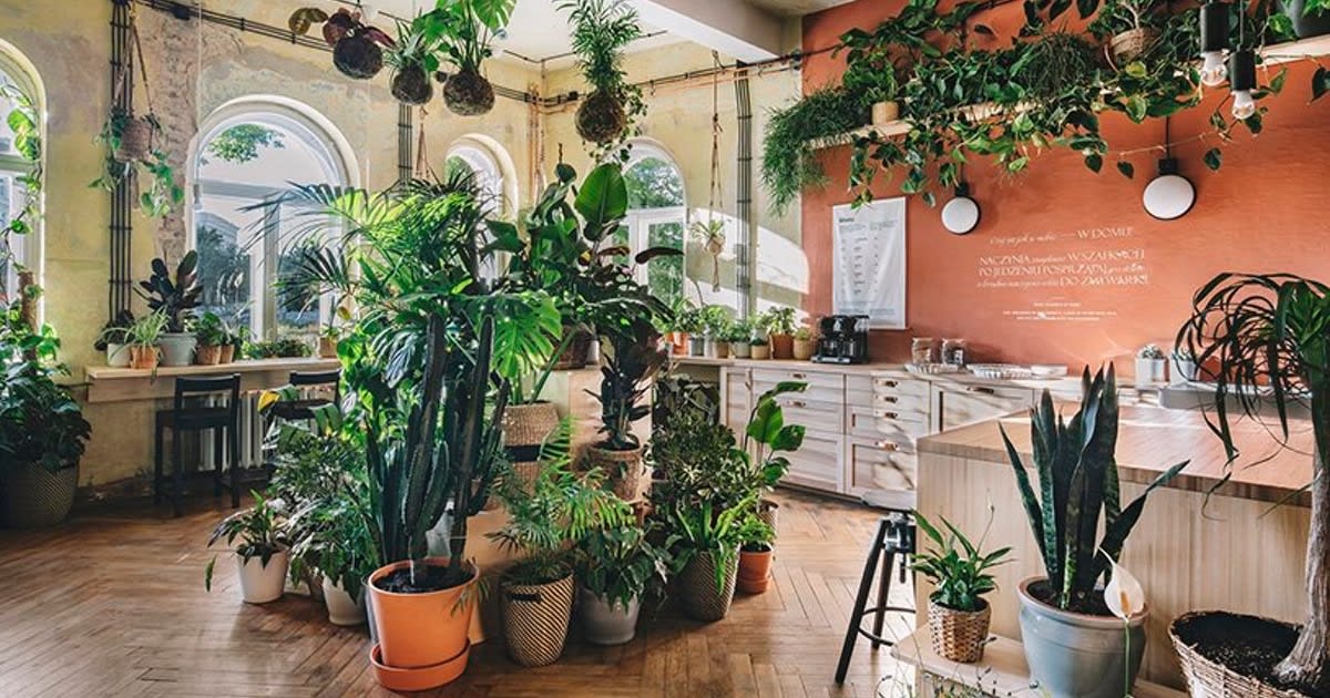 IKEA Unveils 'Home of Tomorrow' to Inspire Sustainability as a Plant-Filled Urban Oasis
