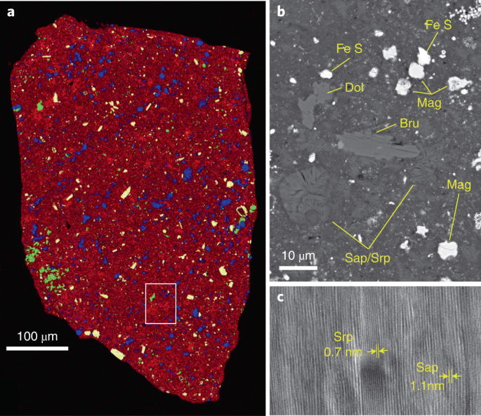 A pristine record of outer Solar System materials from asteroid Ryugu’s returned sample