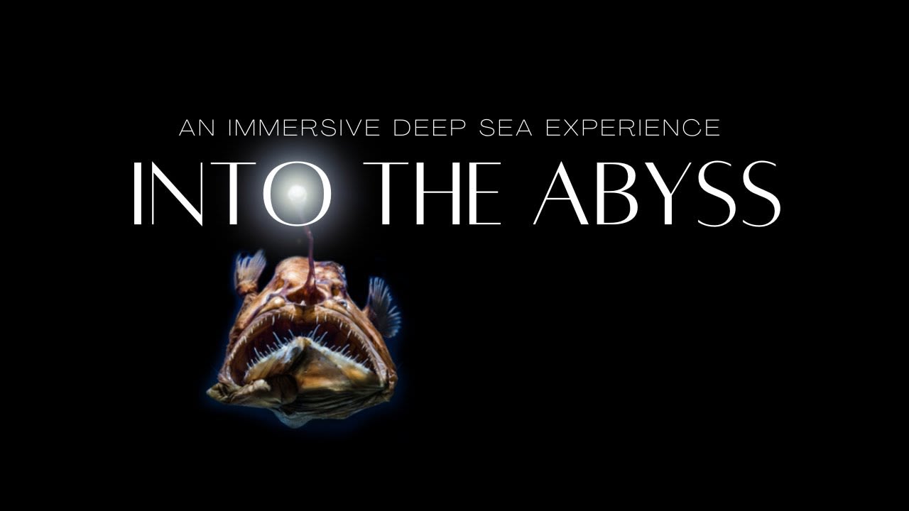 An Immersive Deep Sea Dive | Into the Abyss
