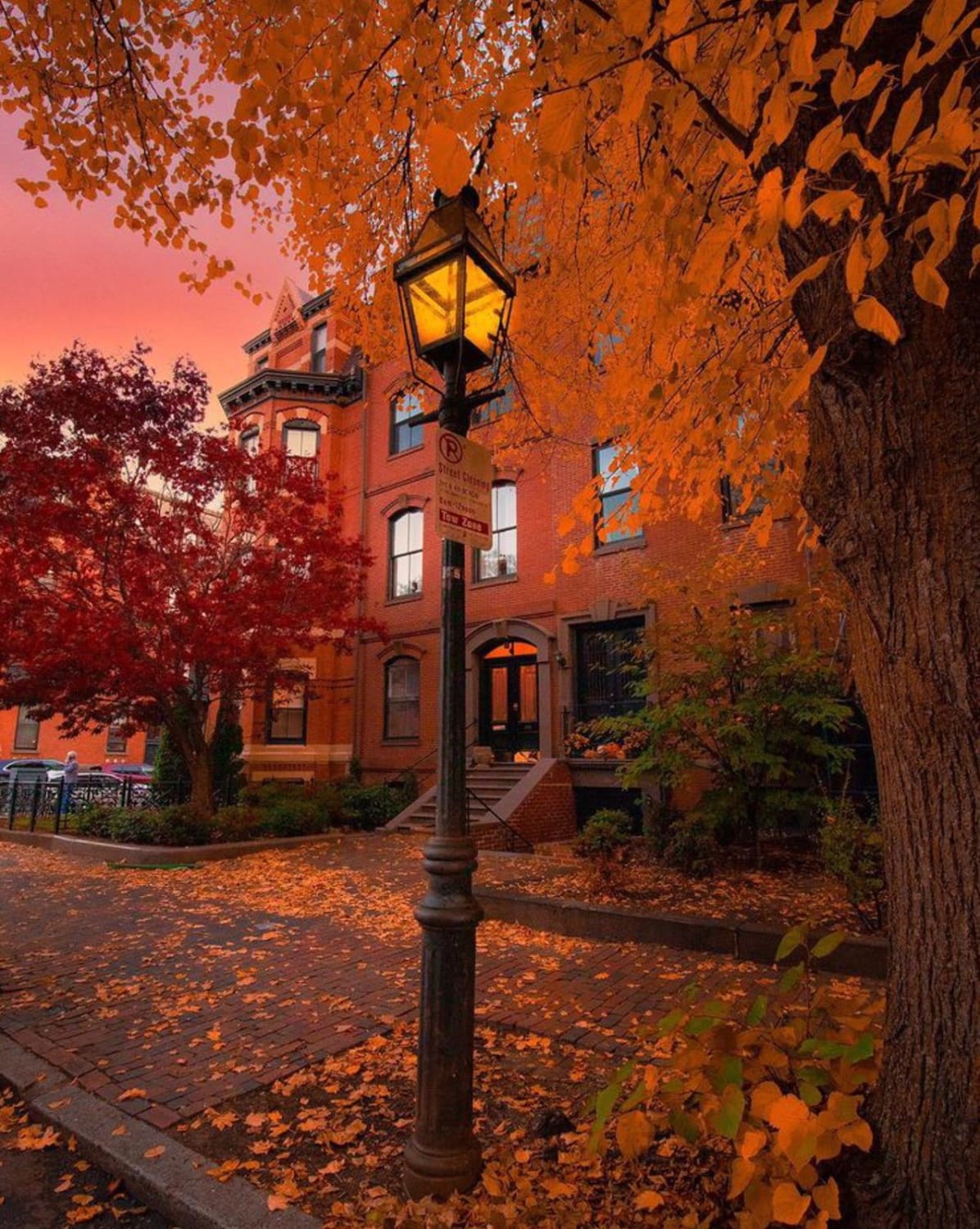 Fall Splendour In Beautiful Back Bay, Boston