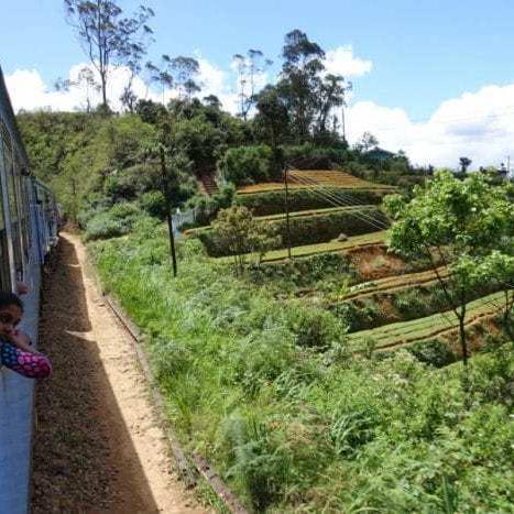 Ella to Kandy train, Sri Lanka: One of the best train rides in the world!