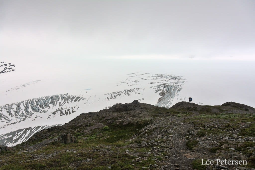 Harding Icefield Trail - Hiking Guide and Trail Map - Seward, Alaska