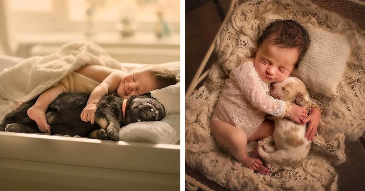 Heartwarming Photos of Newborn Babies Snuggling With Baby Animals
