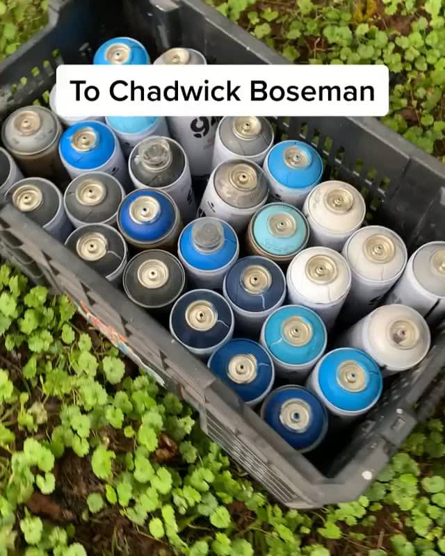 Beautiful aerosol art dedicated to Chadwick Boseman