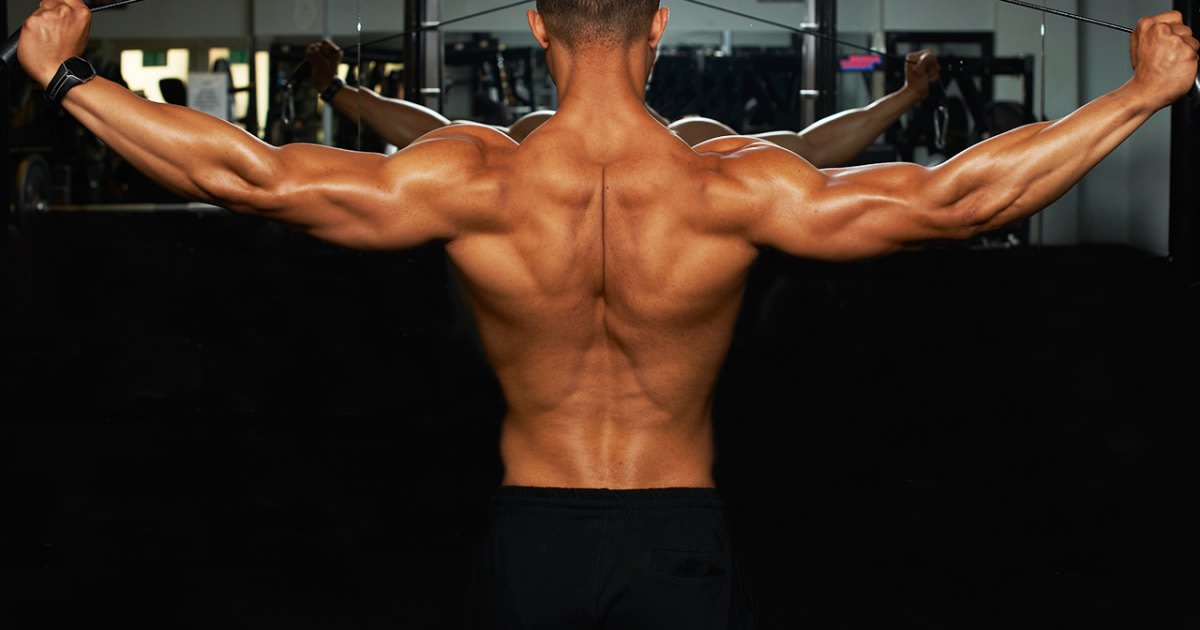 The 30 Best Back Exercises of All Time