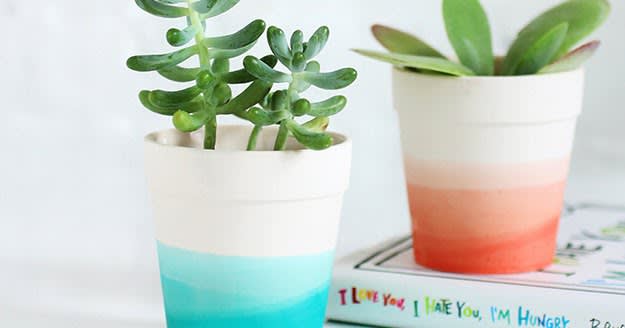 5 Adorable DIY Ways To Show Off Your Plants