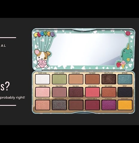 I Try to Follow an Eye Look Leaflet! - Clover Palette, Too Faced