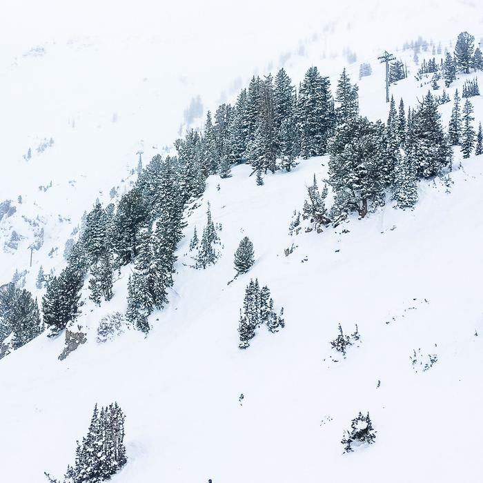 Ski Trip to Snowbird, Utah