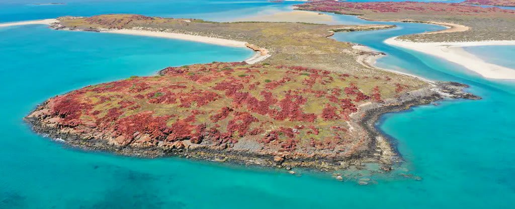 Landmark Discovery as Ancient Aboriginal Sites Found Underwater For First Time