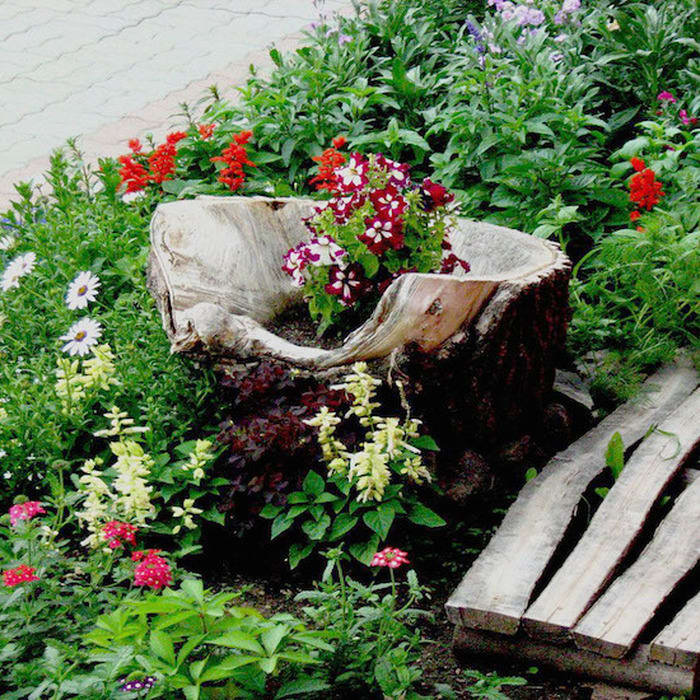 13 Extremely Beautiful Tree Stump Planter Ideas Which Can Throw Your off-guard
