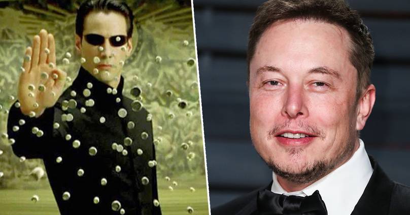 Matrix Creator Tells Elon Musk To F*ck Himself