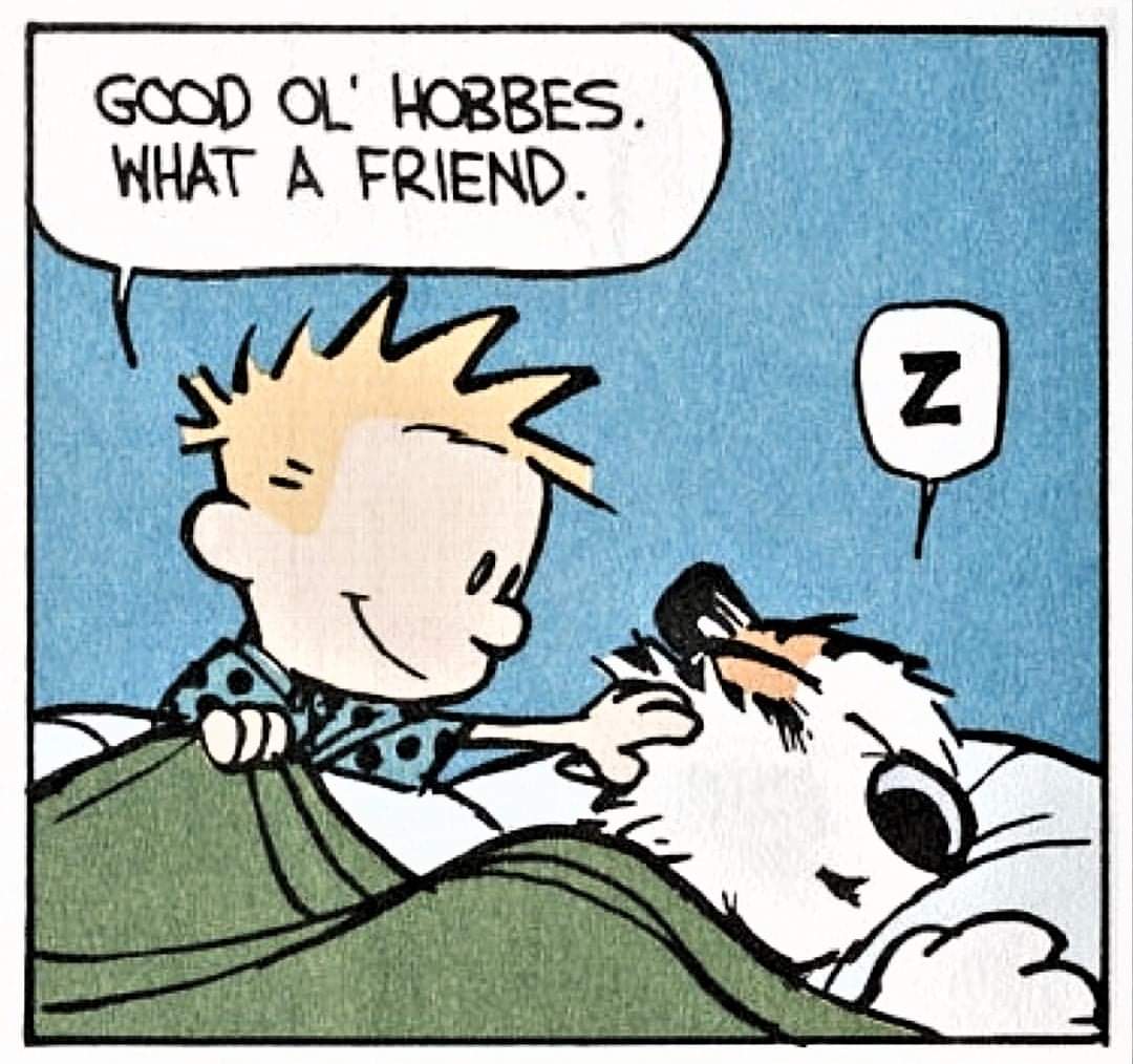 Everyone needs a Hobbes...