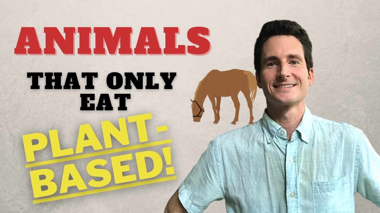 Animals that Eat Only Plants or Plant-based & the Protein Myth