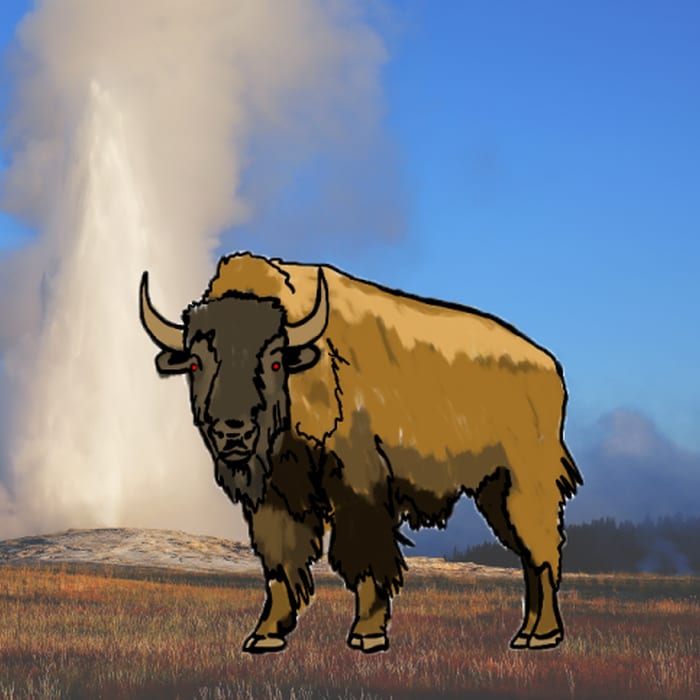 When Bison Attack