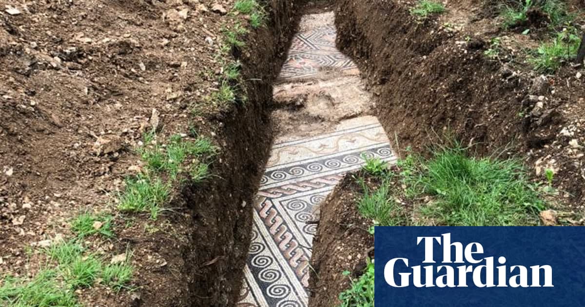 Ancient Roman mosaic floor discovered under vines in Italy