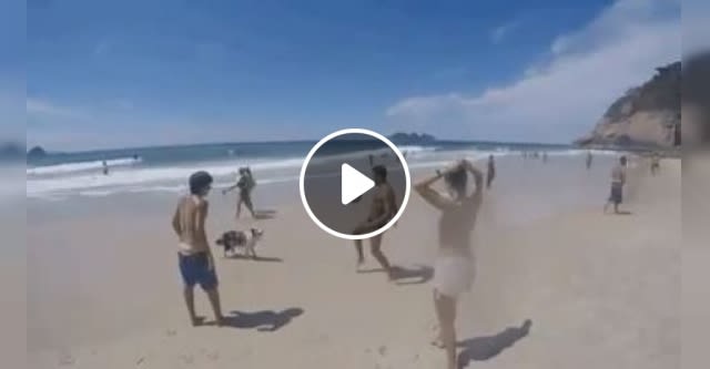 The Dog Can Play Football Very Well - video - pettopi.com - funny Border Collie videos, Funny Dog Videos, Smart Dog videos, Talent, Beach, Football, Ball , Funny Pet Videos