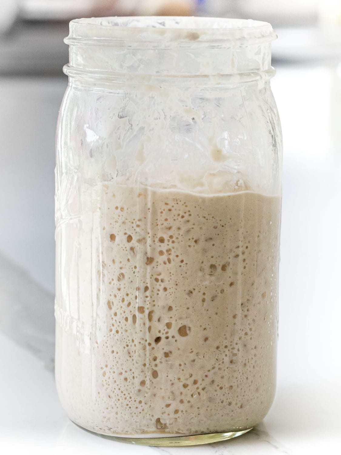 Sourdough Starter 2 Ways - Traditional and No-discard method