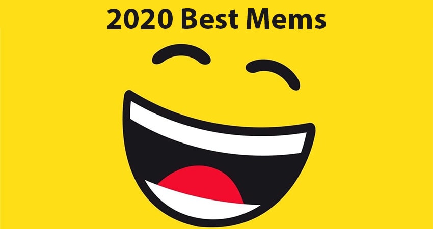 Here Are The Best Memes of 2020 To Make You Laugh