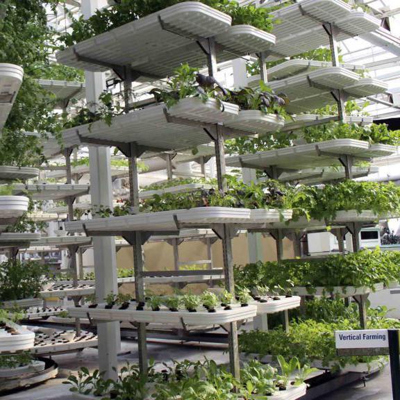 Vertical Farming Isn't the Solution to Our Food Crisis