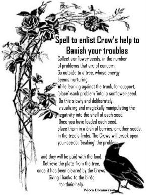 Spell to Enlist Crow’s Help to Banish Your Troubles