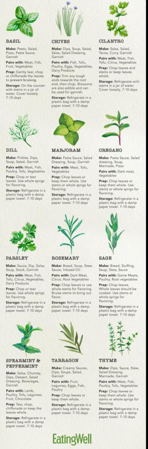 Cooking with herbs 🌿
