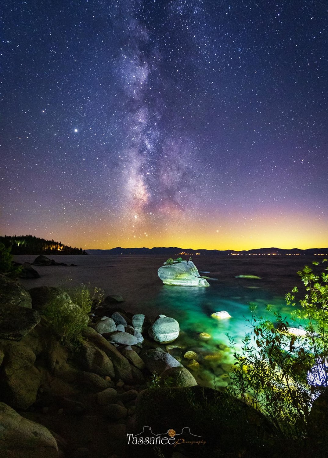 "Bonsai Nights" Lake Tahoe