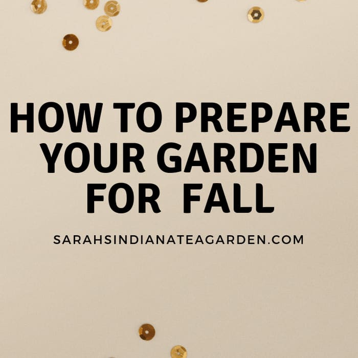 How to Prepare your Garden for Fall -
