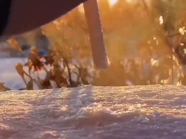 A bubble freezing in the snow