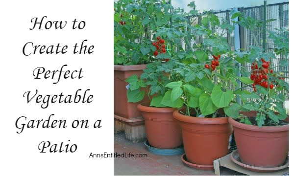How to Create the Perfect Vegetable Garden on a Patio