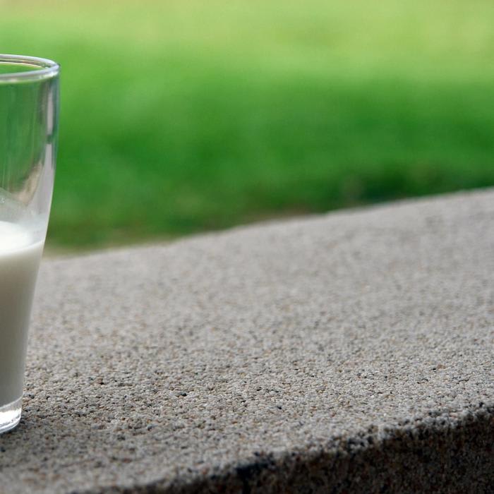 6 Foods Which Contains More Calcium Other Than Milk