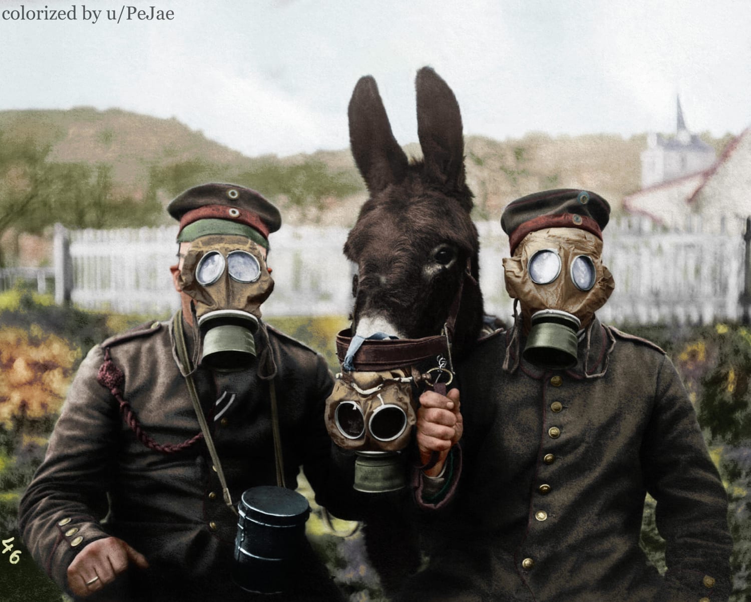 two German soldiers and their mule wearing gas masks, 1916 (colorized by me)