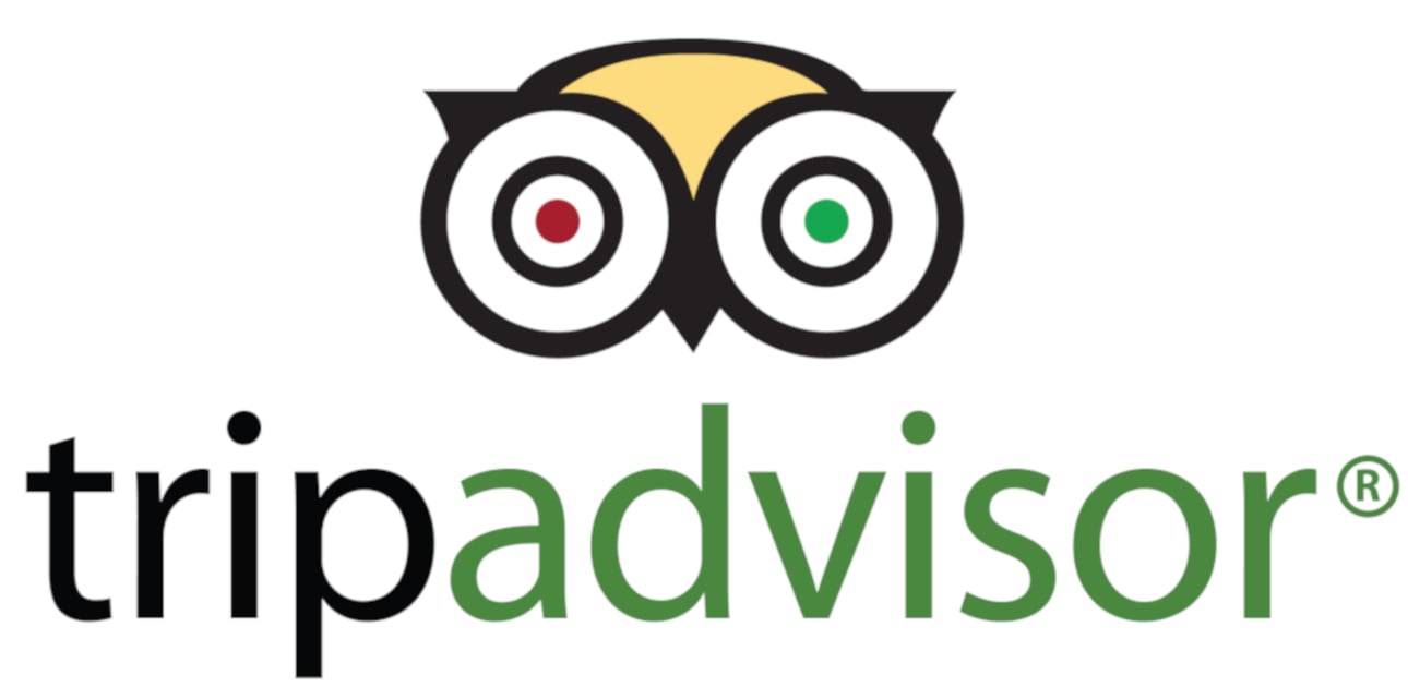 The Story of Our Latest TripAdvisor Reviews, Excellent!