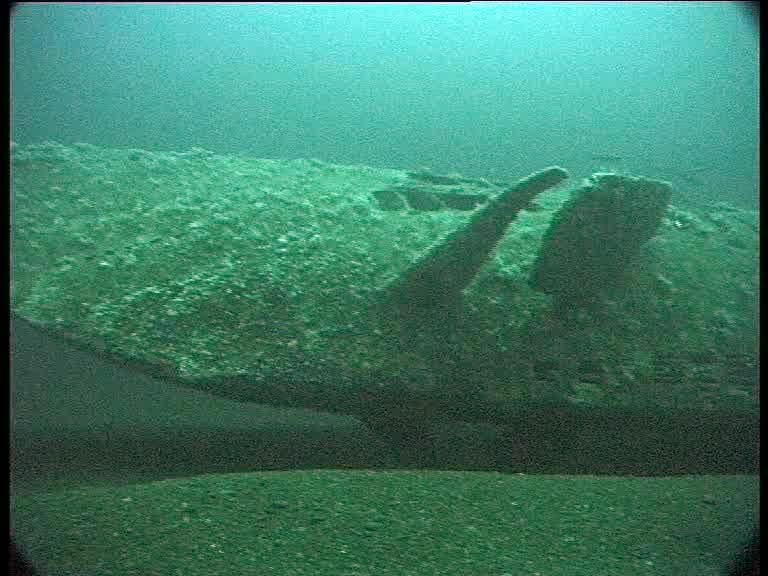 The wreck of U-778 found by U-Boat Hunter Dr Innes McCartney. On 4 ...