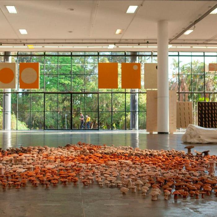 Here's What the Experimental 2018 Sao Paulo Biennial Looks Like