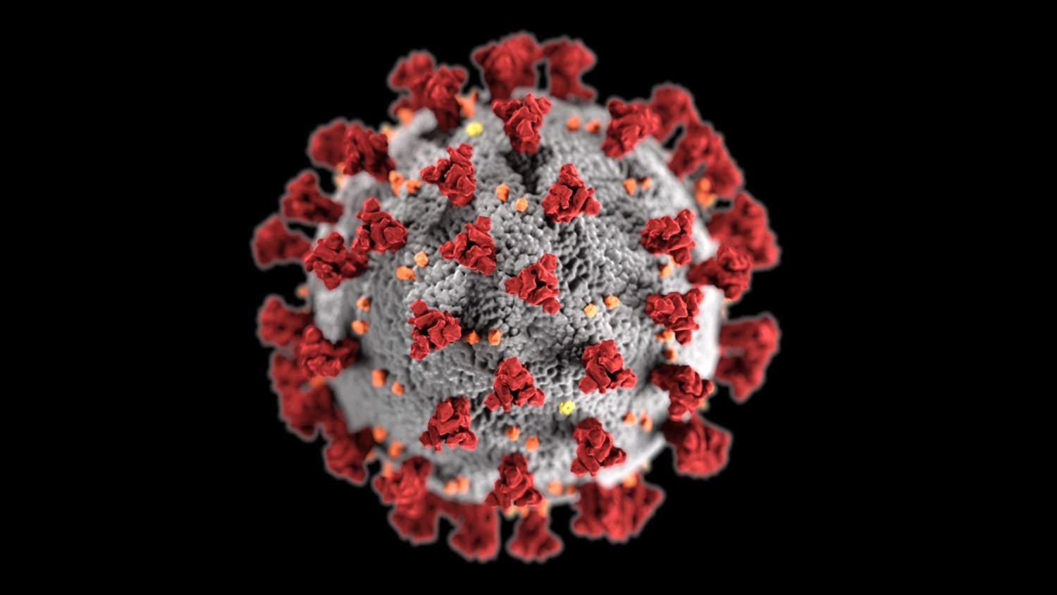Coronavirus: Scientists say a more contagious mutant strain has been sweeping globe