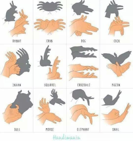 Shadow puppets!