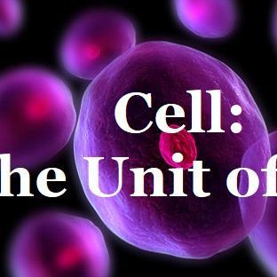 Cell: The Unit of Life class 11 notes