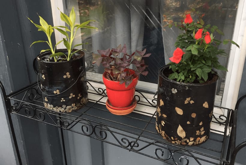 How to Upcycle Empty Paint Cans: DIY Planter - Step by Step Instructions