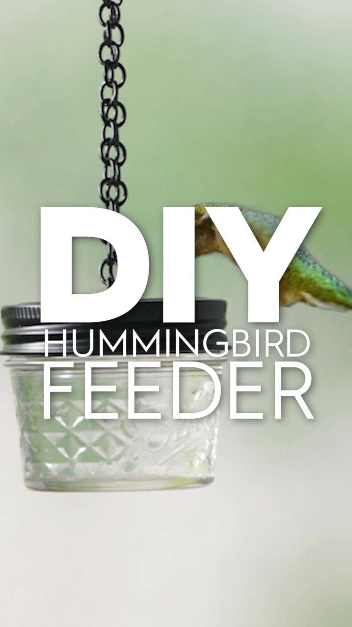 This DIY Feeder Will Guarantee Hummingbirds in Your Yard [Video] [Video] in 2021 | Fall wall decor diy, Mason jar crafts diy, Diy hummingbird feeder