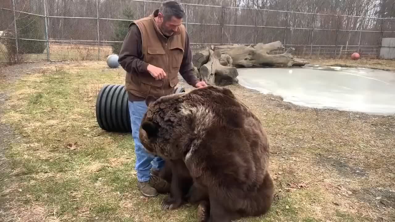 Jimbo getting brushed by his best friend Jim